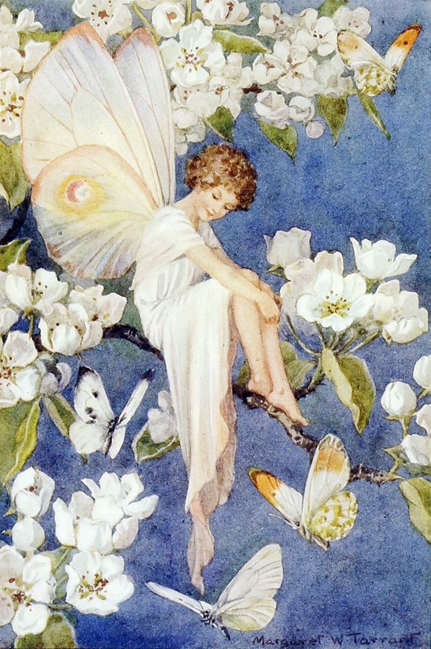 crud copil crescut în rază de soare